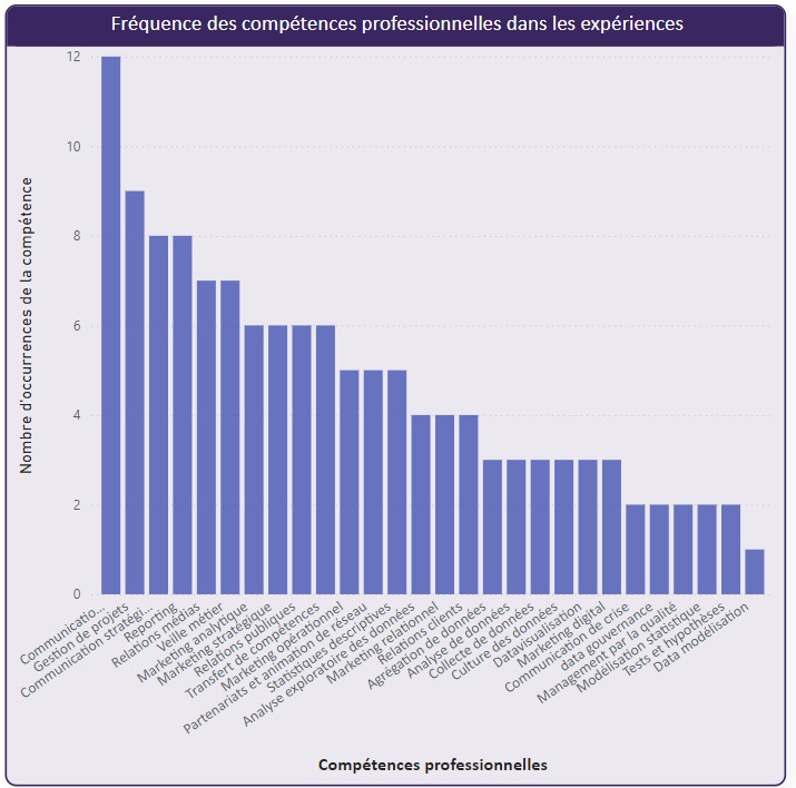 profil synthétique des compétences pro